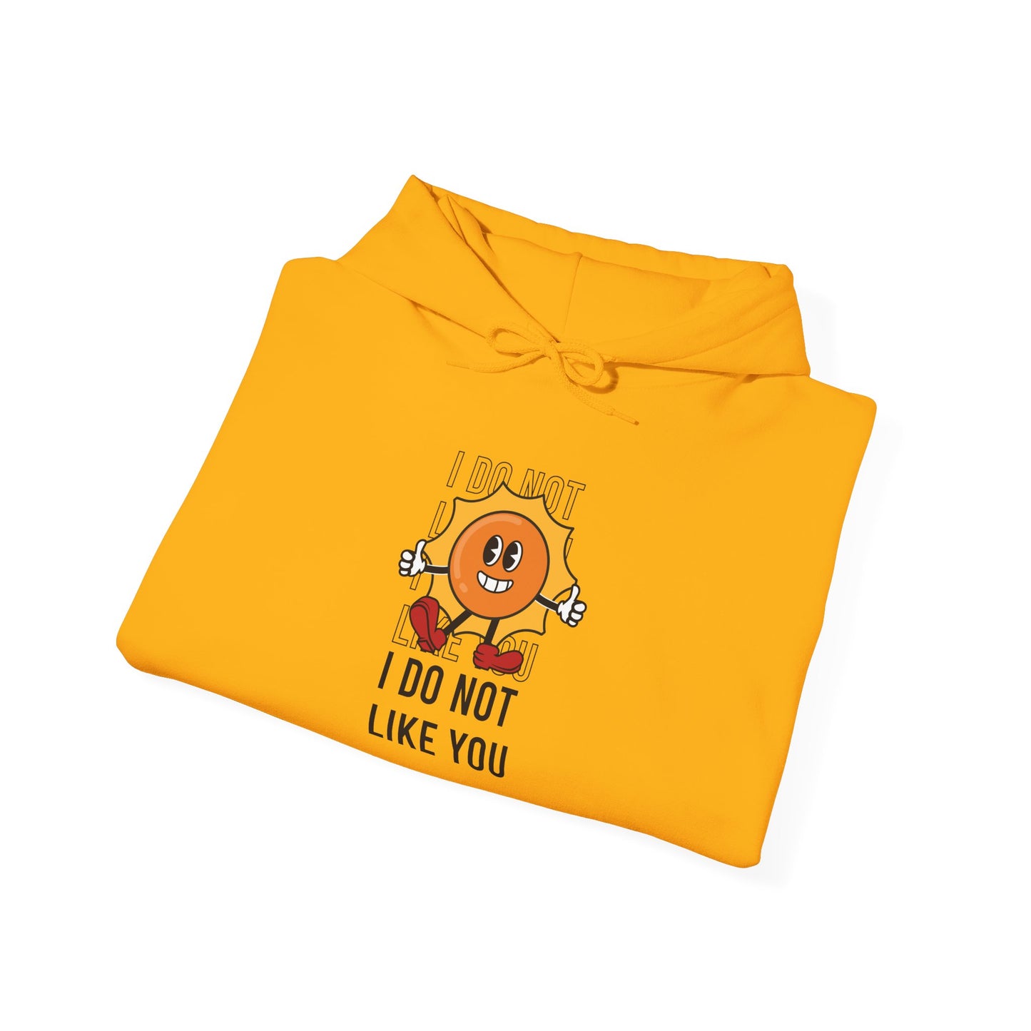 I Do Not Like You - Hoodie
