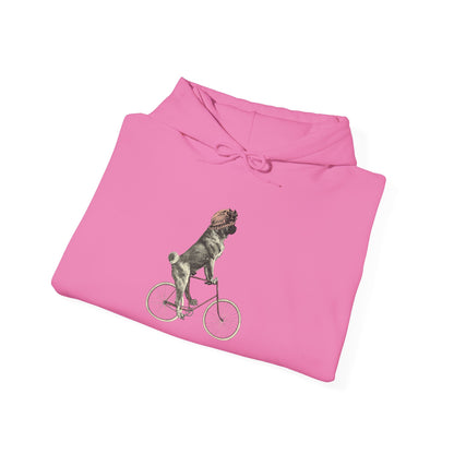 Dog on a Bicycle - Hoodie