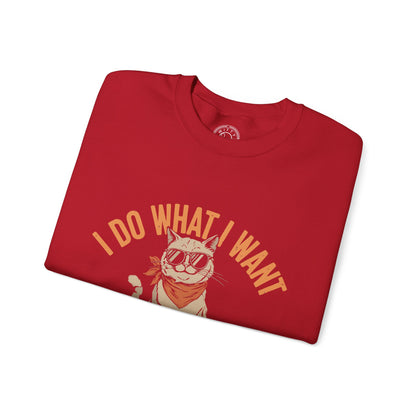 I Do What I Want - Sweatshirt