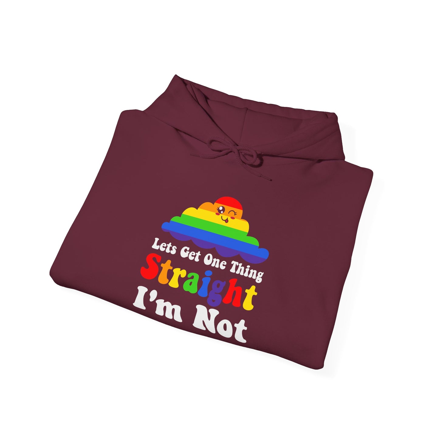 I'm NOT STRAIGHT - Hoodie