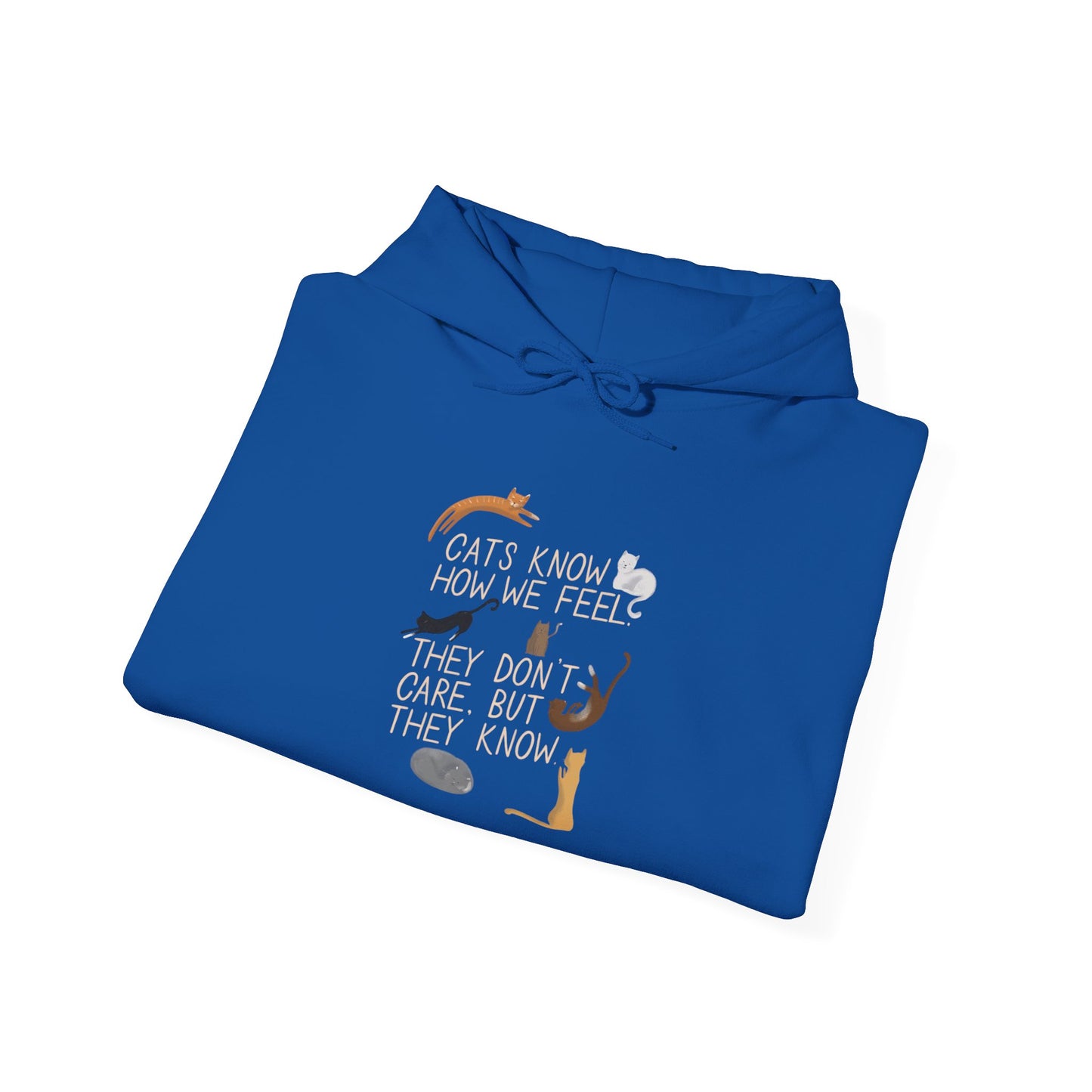 Cats Know How We Feel -  Hoodie