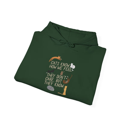 Cats Know How We Feel -  Hoodie