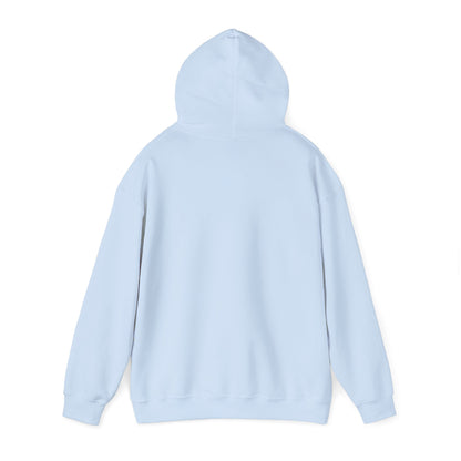 I Do Not Like You - Hoodie