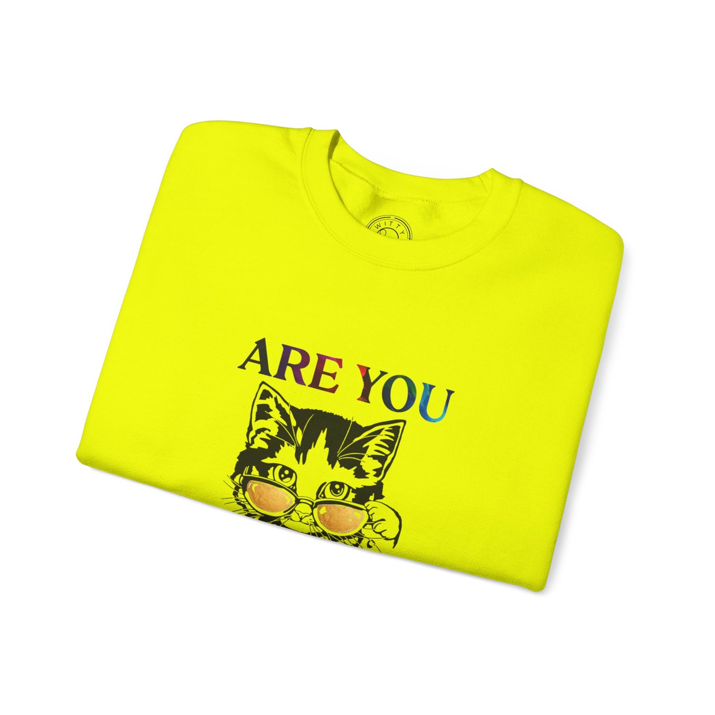 Are You Kitten Me? - Sweatshirt