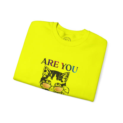 Are You Kitten Me? - Sweatshirt