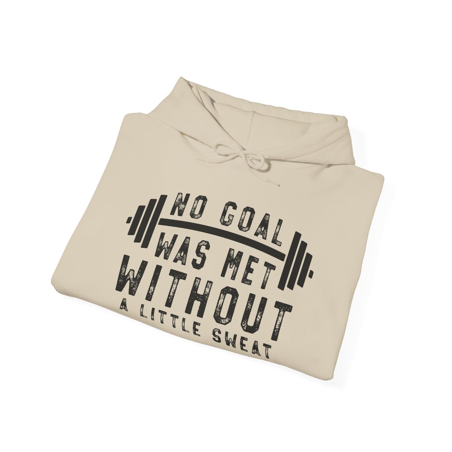 No Goal Was Met Without a Little - Hoodie