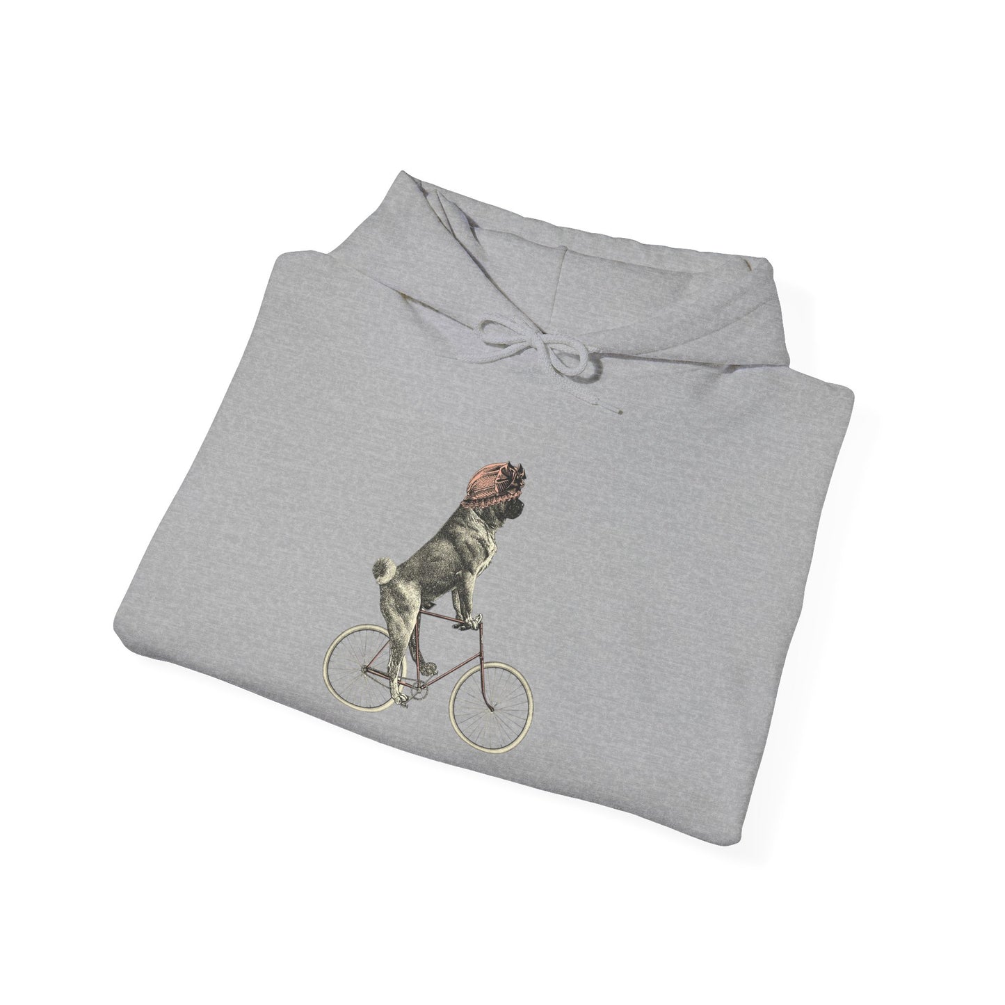 Dog on a Bicycle - Hoodie