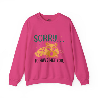 Sorry to have met you - Sweatshirt