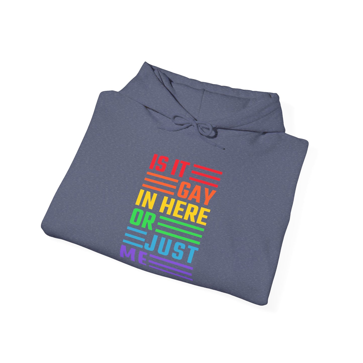Is It Gay In Here Or Just Me - Hoodie