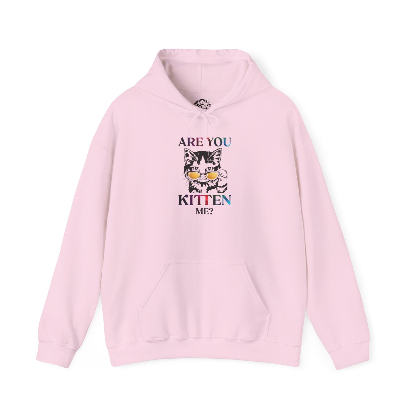Are You Kitten Me? - Hoodie