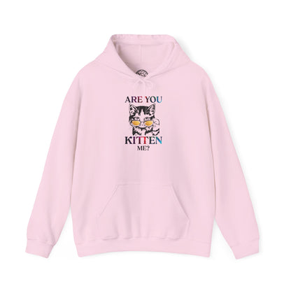 Are You Kitten Me? - Hoodie
