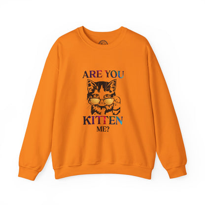 Are You Kitten Me? - Sweatshirt