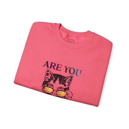Are You Kitten Me? - Sweatshirt