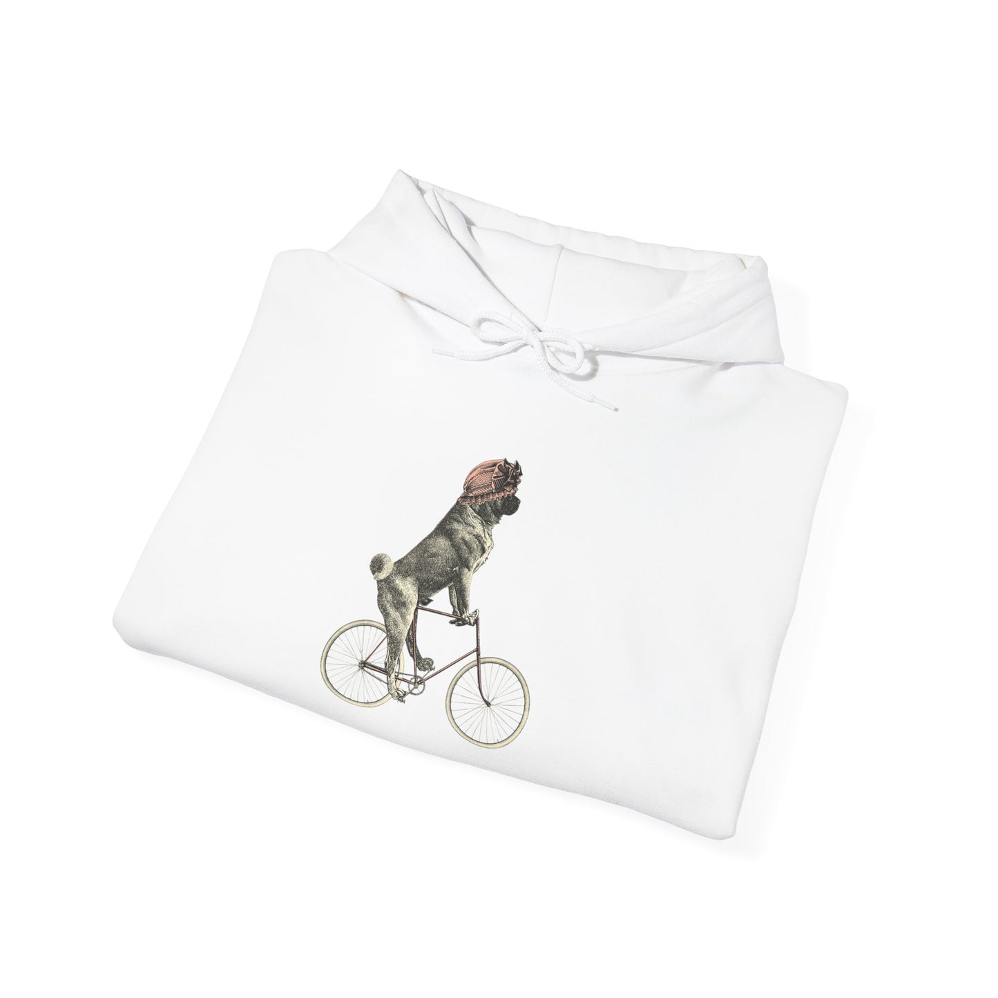 Dog on a Bicycle - Hoodie