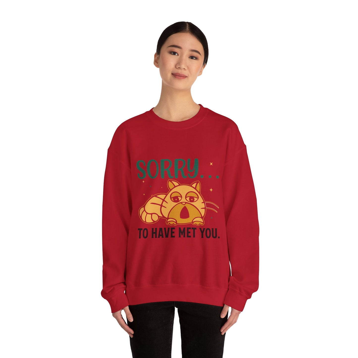 Sorry to have met you - Sweatshirt