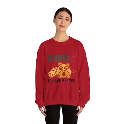 Sorry to have met you - Sweatshirt