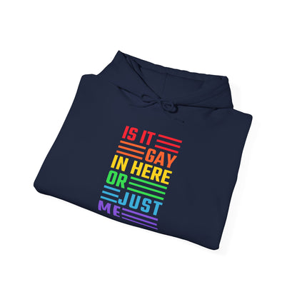 Is It Gay In Here Or Just Me - Hoodie