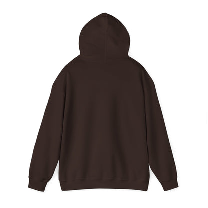 Sometimes I'm Sleeping -  Hoodie