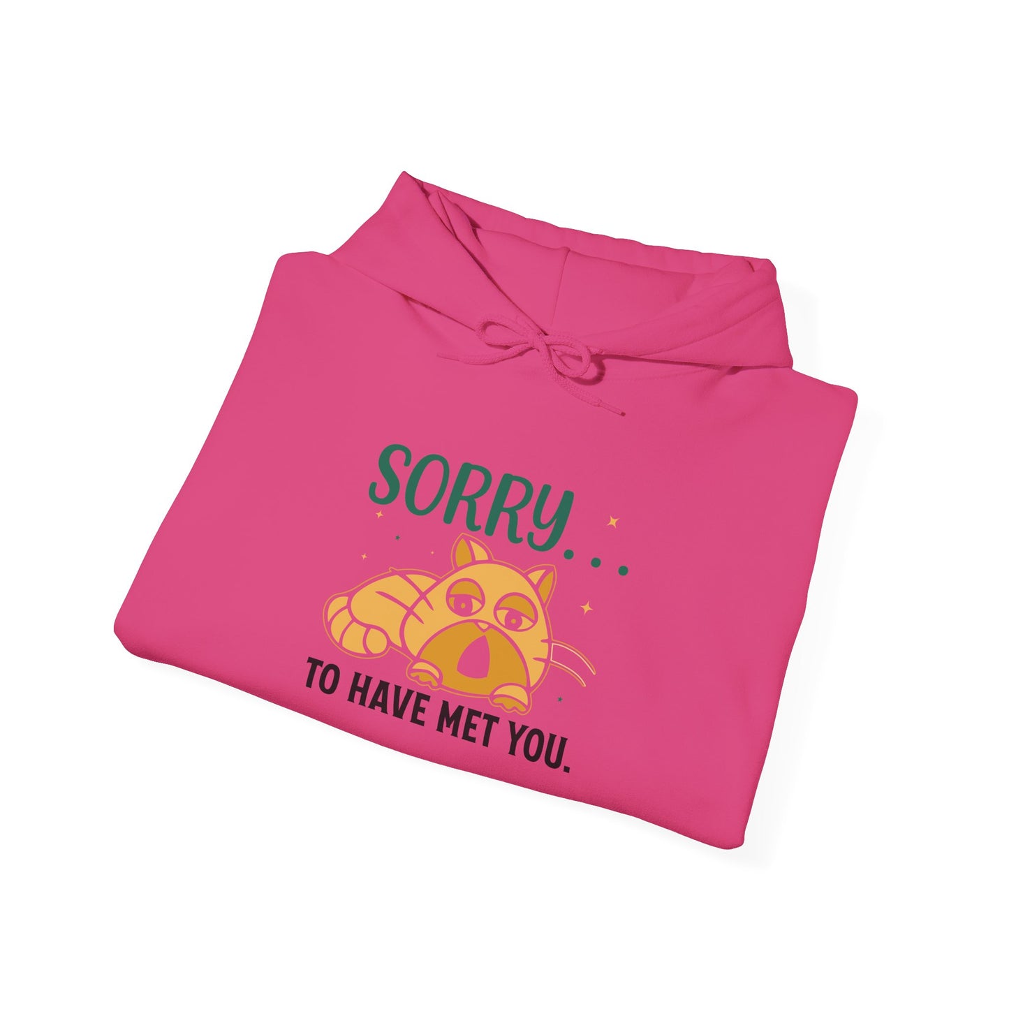 Sorry to have met you -  Hoodie