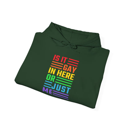 Is It Gay In Here Or Just Me - Hoodie