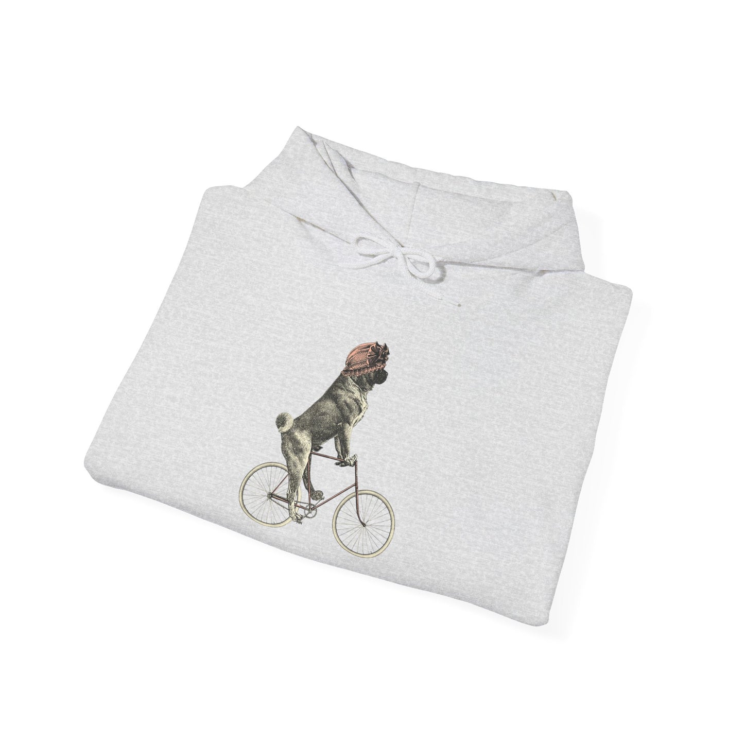 Dog on a Bicycle - Hoodie