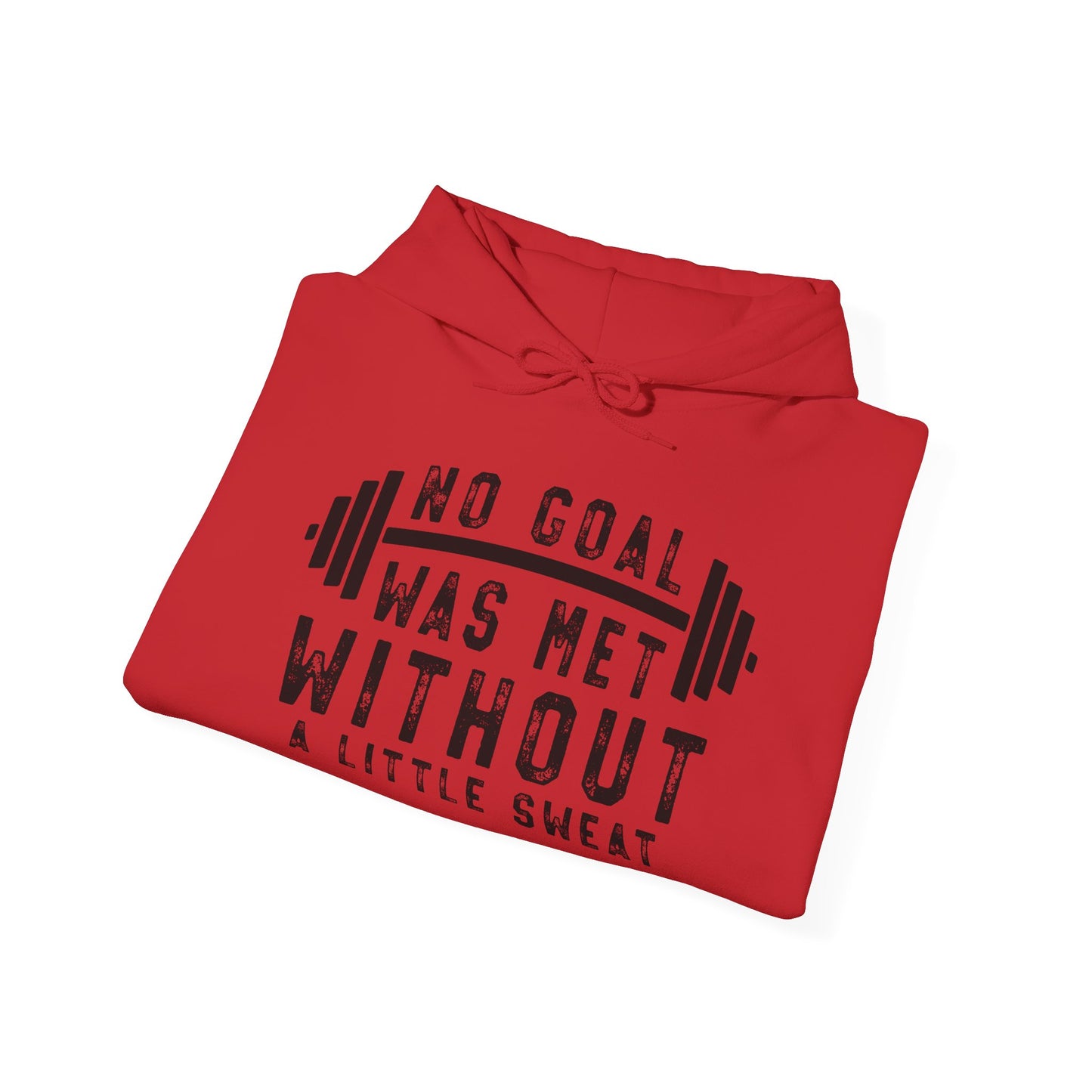 No Goal Was Met Without a Little - Hoodie