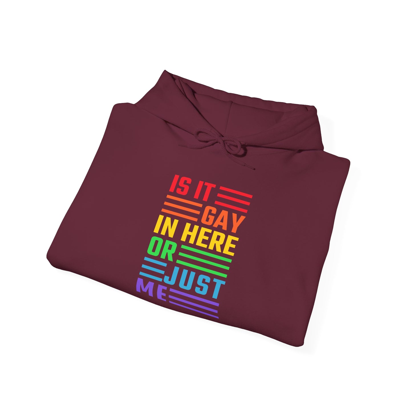 Is It Gay In Here Or Just Me - Hoodie