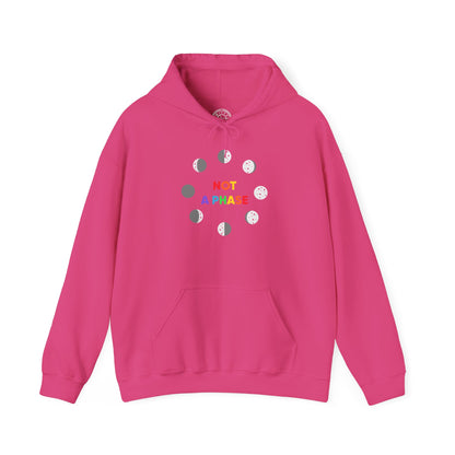 Not a Phase - Hoodie