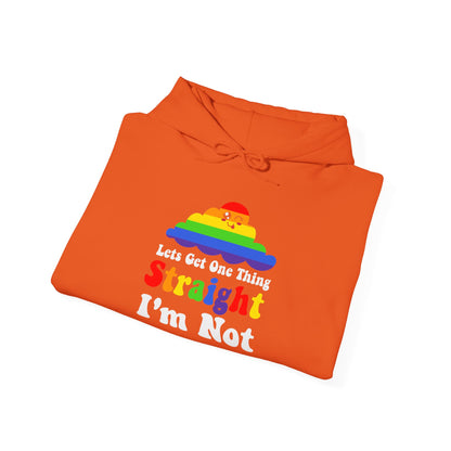 I'm NOT STRAIGHT - Hoodie