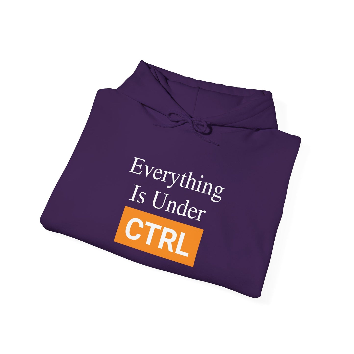 Everything is under CTRL -  Hoodie