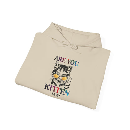Are You Kitten Me? - Hoodie