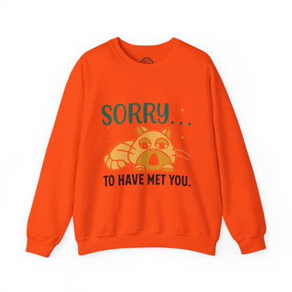 Sorry to have met you - Sweatshirt
