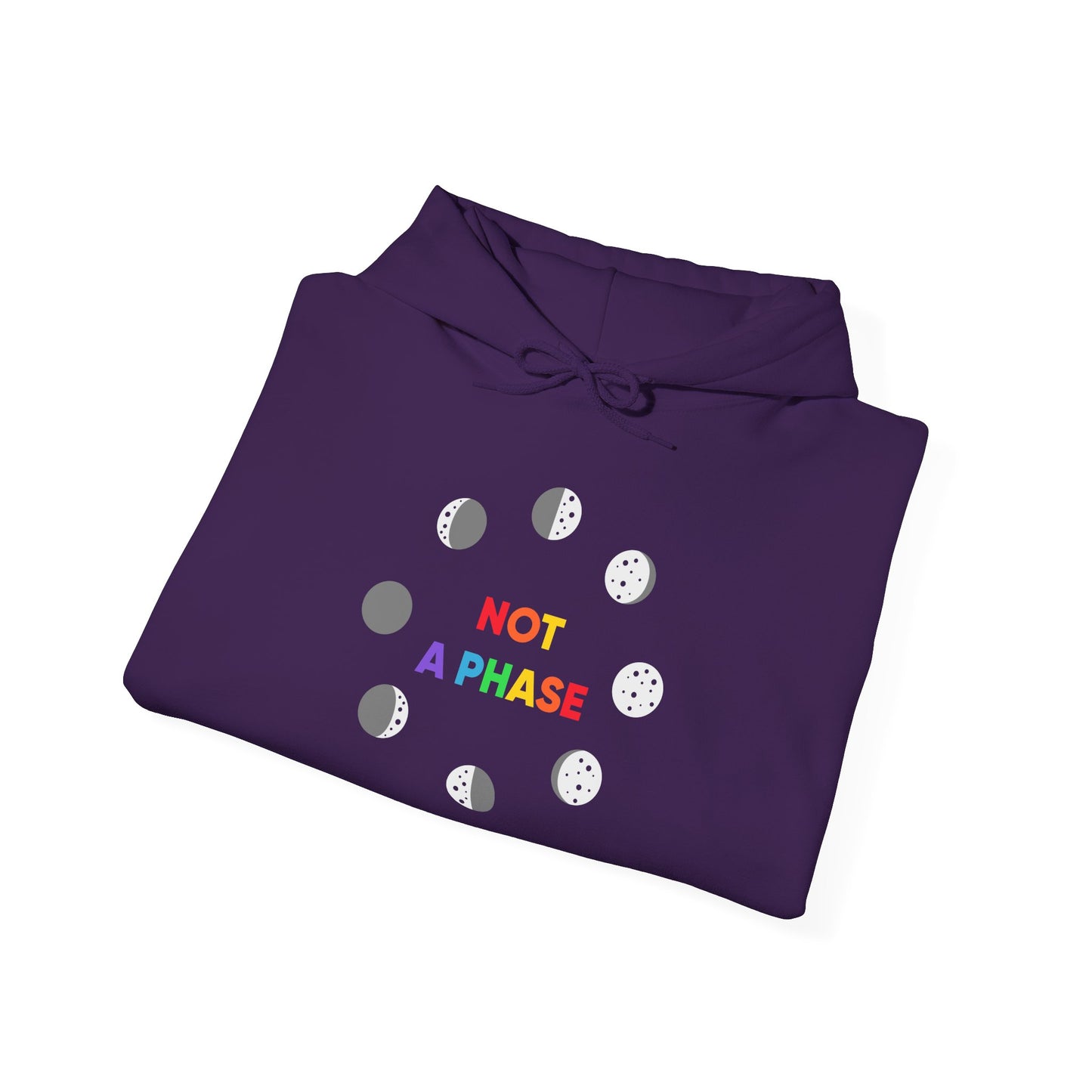 Not a Phase - Hoodie