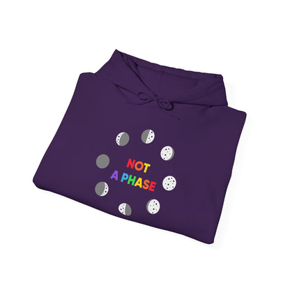 Not a Phase - Hoodie