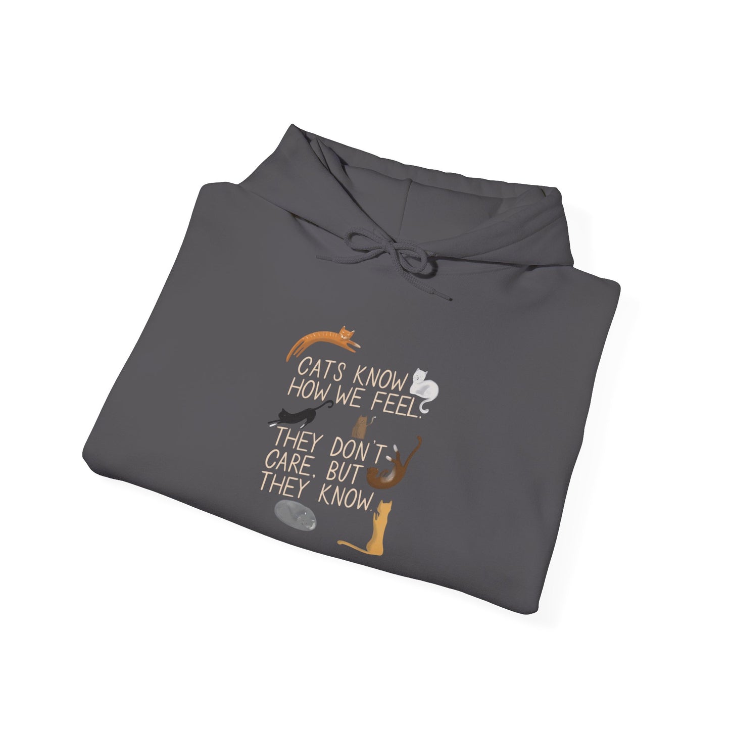 Cats Know How We Feel -  Hoodie