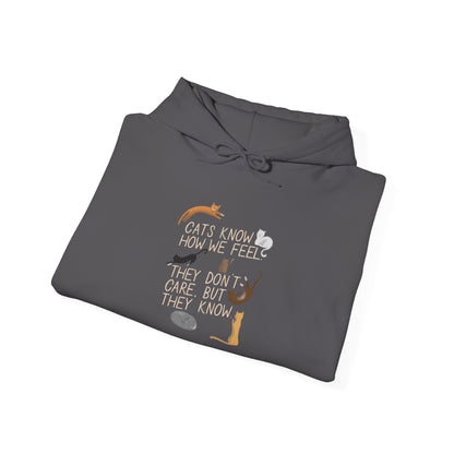 Cats Know How We Feel -  Hoodie