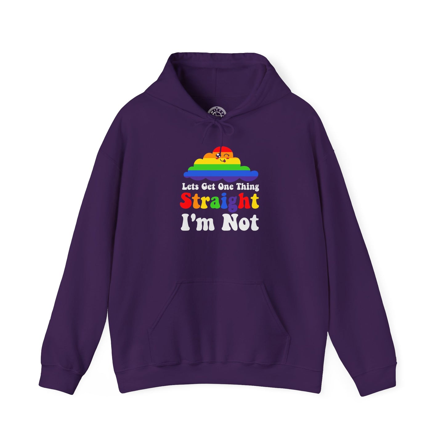I'm NOT STRAIGHT - Hoodie