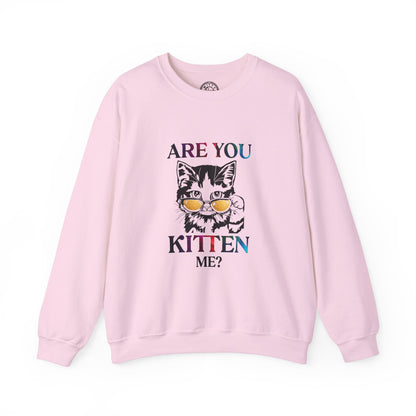 Are You Kitten Me? - Sweatshirt