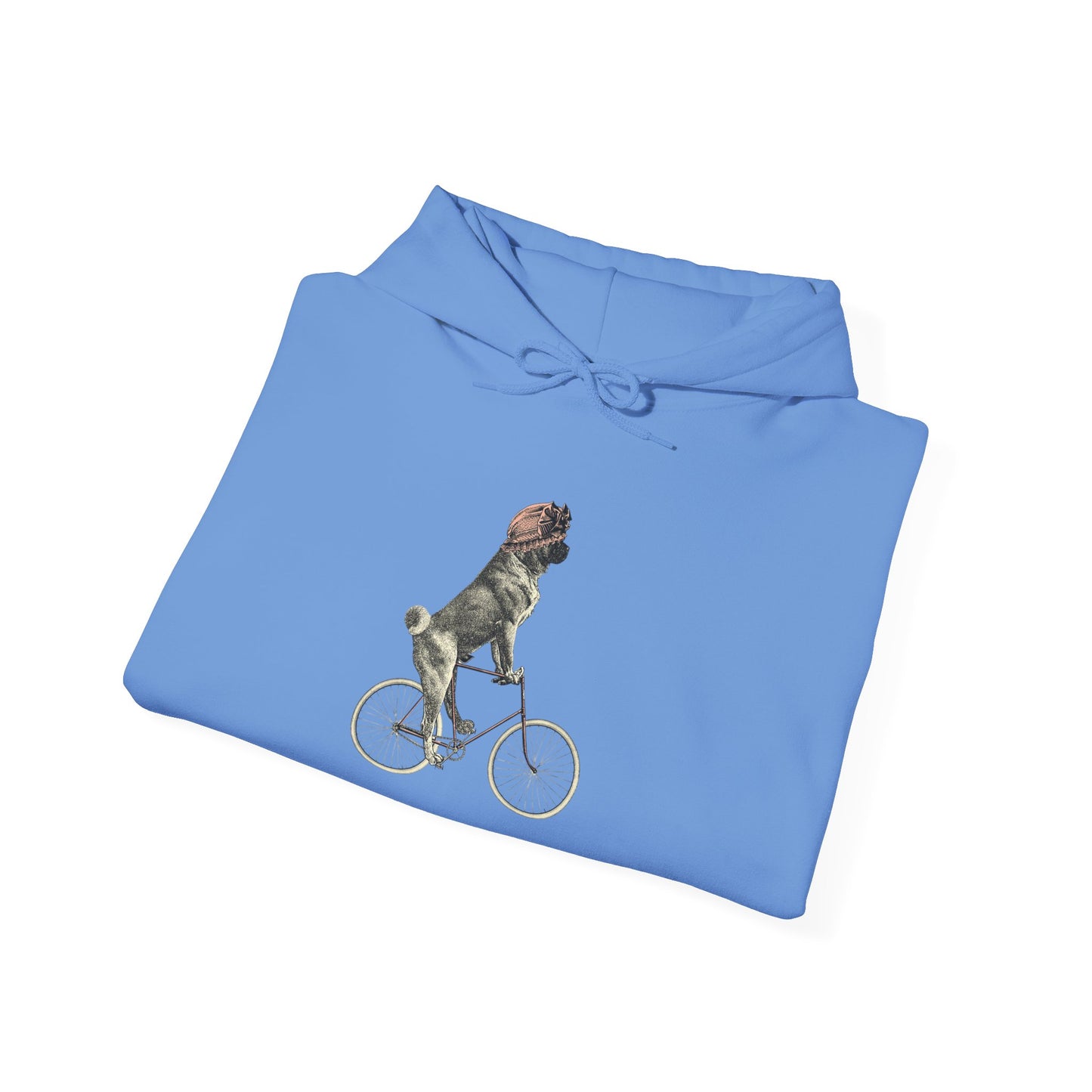Dog on a Bicycle - Hoodie