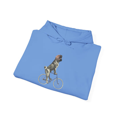 Dog on a Bicycle - Hoodie
