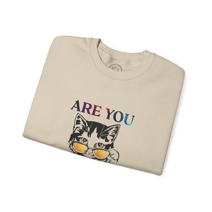 Are You Kitten Me? - Sweatshirt