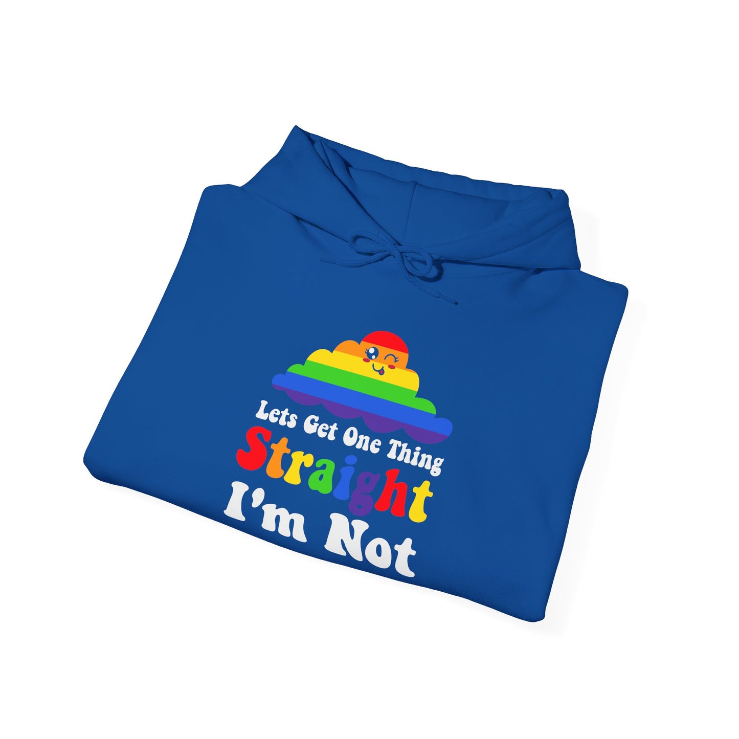 I'm NOT STRAIGHT - Hoodie