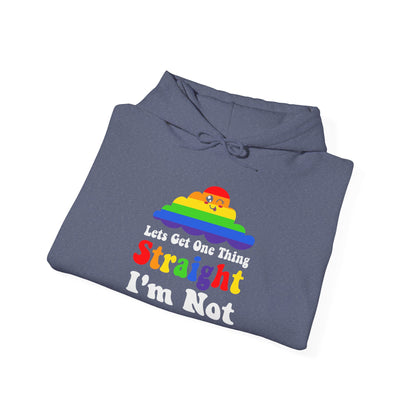 I'm NOT STRAIGHT - Hoodie