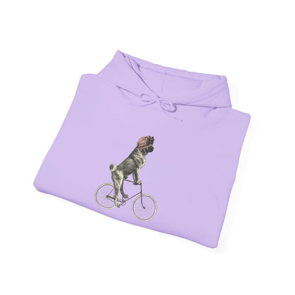 Dog on a Bicycle - Hoodie
