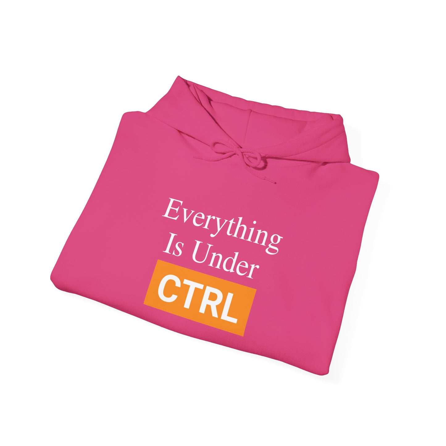 Everything is under CTRL -  Hoodie