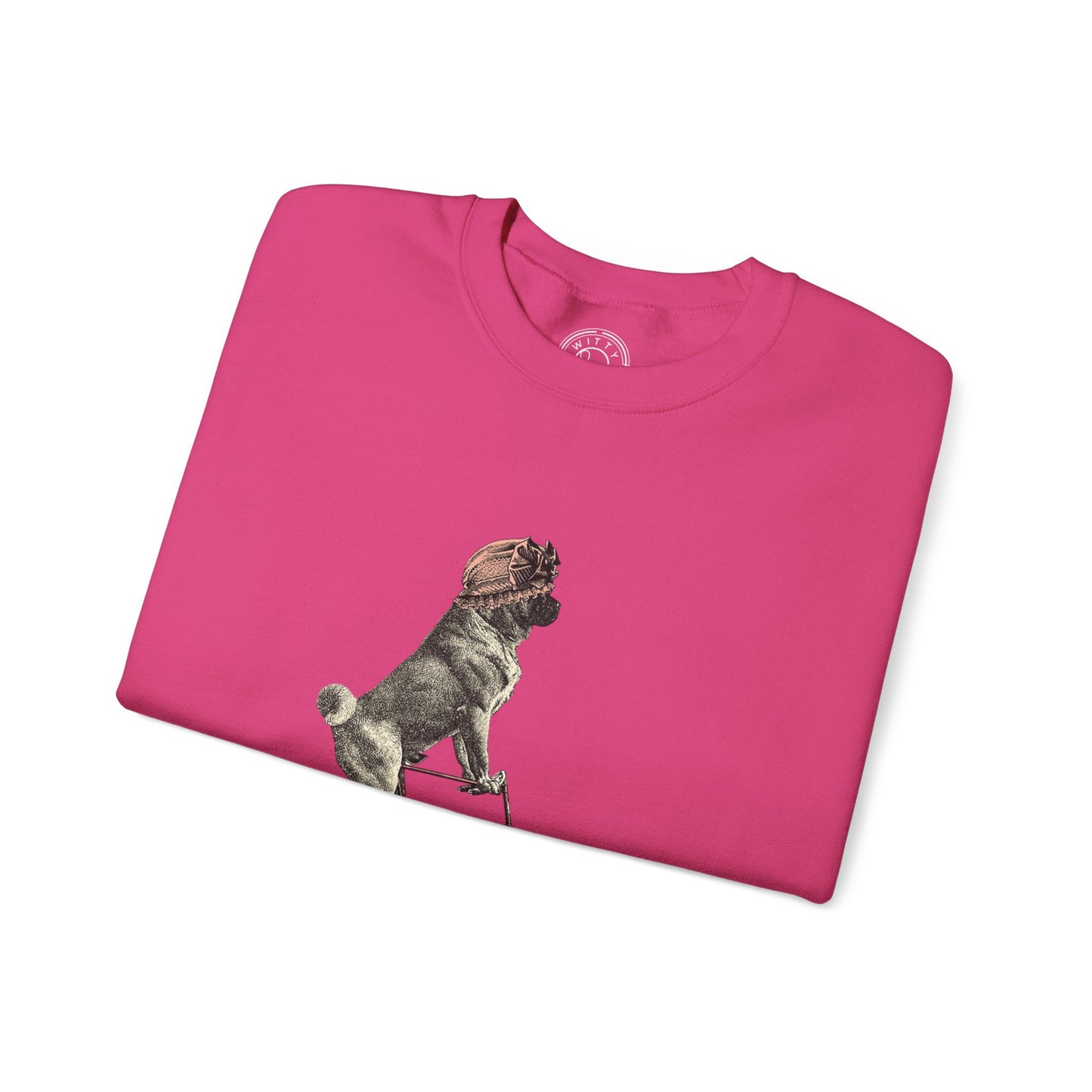 Dog on a Bicycle - Sweatshirt