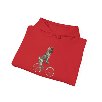 Dog on a Bicycle - Hoodie
