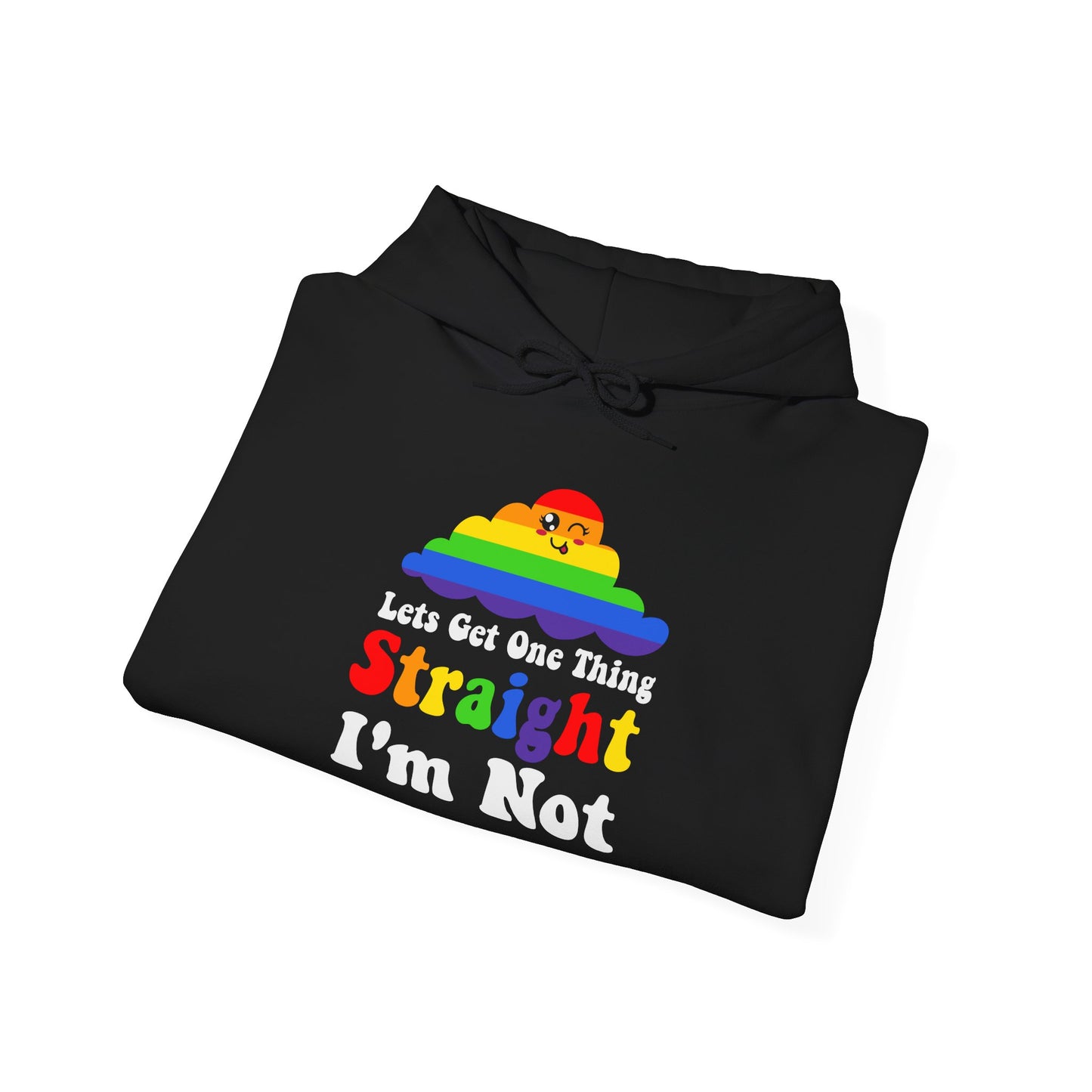 I'm NOT STRAIGHT - Hoodie