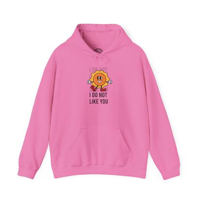 I Do Not Like You - Hoodie