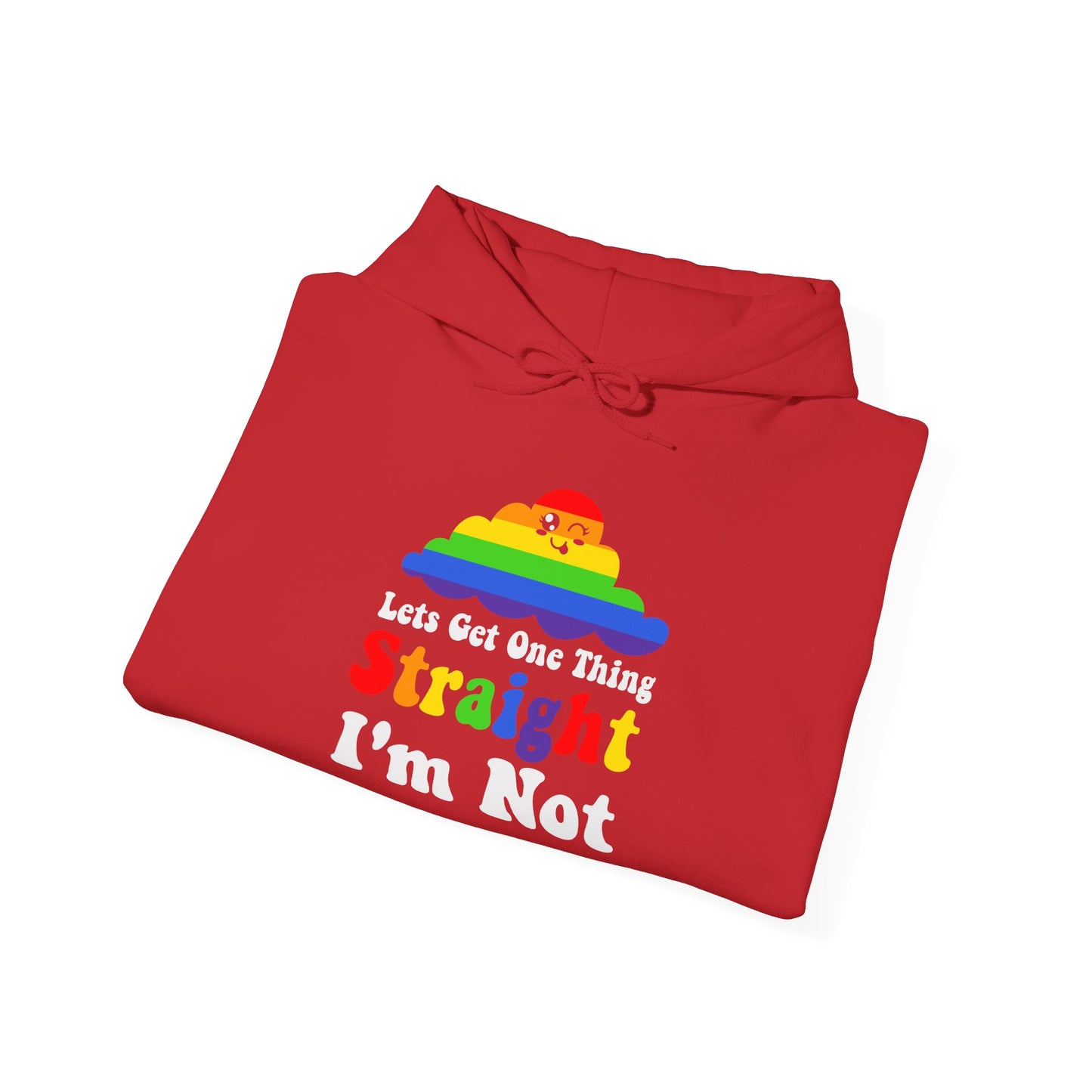 I'm NOT STRAIGHT - Hoodie